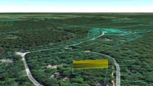 Wooded Lot in Arenac County, Michigan!