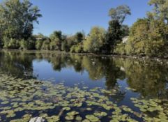 Waterfront Property in Bangor, Michigan!