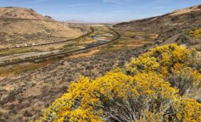 Rural Living in the Heart of Nevada's High Desert!