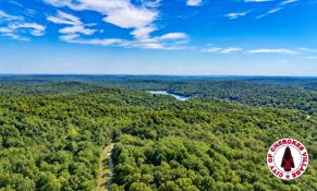 FINANCE: Your Future Homesite in Cherokee Village! YOUR BID IS YOUR MONTHLY PAYMENT!