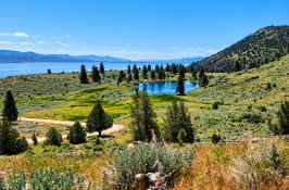 FINANCE: An Acre of Buildable Northern California Land! YOUR BID IS YOUR MONTHLY PAYMENT!