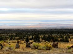 FINANCE: Own Over an Acre in Northern California! YOUR BID IS YOUR MONTHLY PAYMENT!