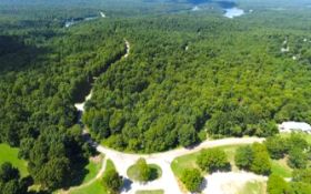 FINANCE: Quarter-Acre Lot Near Ash Flat, Arkansas! YOUR BID IS YOUR MONTHLY PAYMENT!