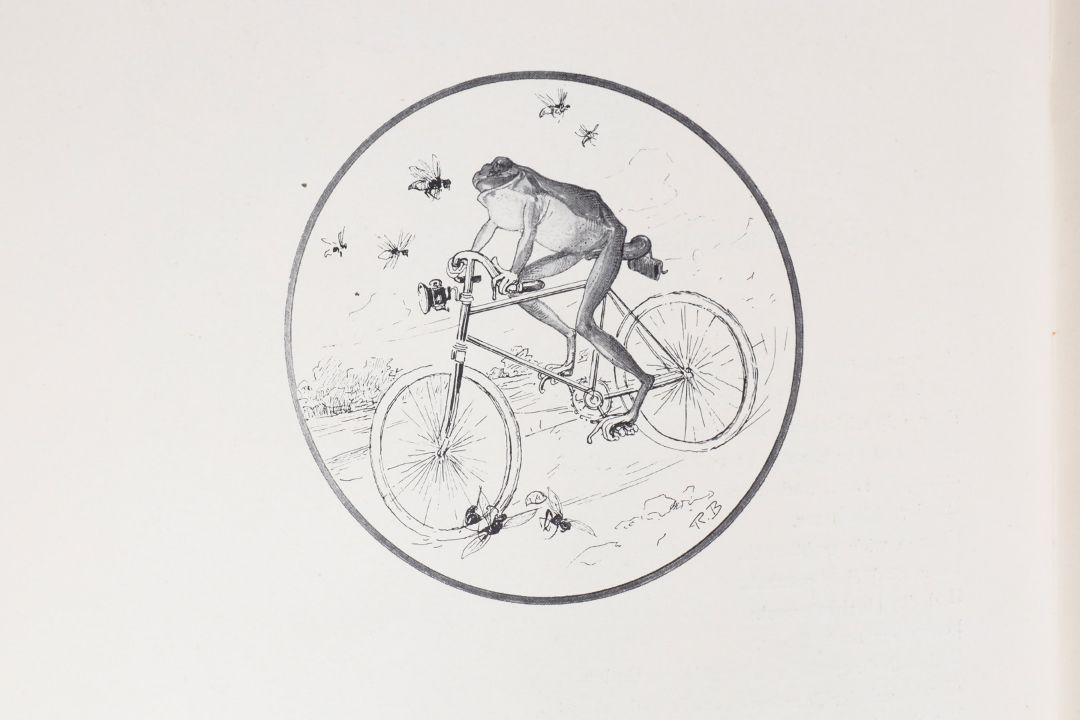 Fahrrad-Buch ”Radlerei”, mit 40 Kunsttafeln, 20er Jahre, Kunstverlag Gerlach & Schenk, Wien, - Bild 2 aus 9