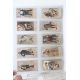 A scarce set of Cope Bros 'Charctures of Dickens' cigarette cards (46 of 50) c1900 together with - Image 3 of 6