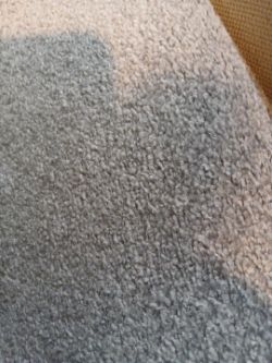 T855 - OFFSITE AUCTION - GRADE B 4M ROLL OF CARPET. STARTINGS BID ONLY £5..OFFSITE AUCTION. NO RESERVES!