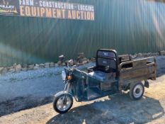 IRET13 Electric Tricycle