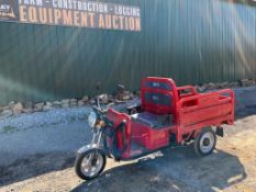 IRET13 Electric Tricycle