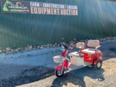 IRG C40 Mini Golf Cart