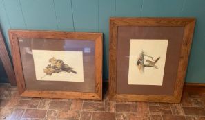 Pair of Framed Original Wildlife Watercolors Chipmunks and Woodpeckers