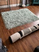 2 Area Rugs