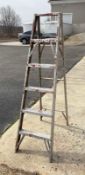 6ft Ladder