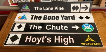 Vintage Ski Trail Signs with Vintage Framed Ski Cartoon