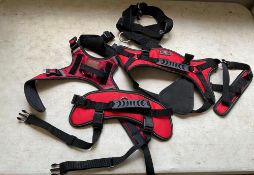 3 Dog Harnesses