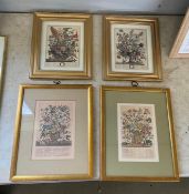 4 Framed 12 Months of Flowers Prints