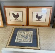 3 Framed Chicken Prints
