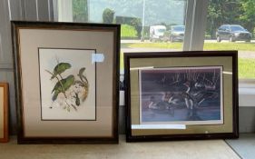 2 Framed Audubon Style Prints