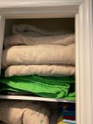 Closet Lot of Blankets and pillows