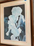 2 Framed Prints