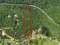 LIVE REAL ESTATE AUCTION!
