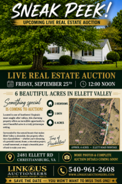 UPCOMING LIVE REAL ESTATE AUCTION