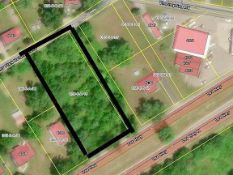 Live Absolute Real Estate Auction