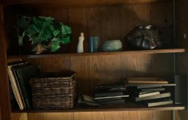 Home Office/Den Decor with Willow Tree 