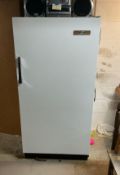 Holiday Upright Freezer