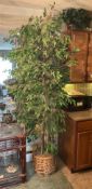 Artificial Ficus Tree in a Woven Basket