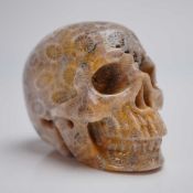 Agatized Fossil Coral Carved Skull
