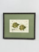 M. Stoves (American) Gyotaku Sumi Ink and Pigments Print on Paper