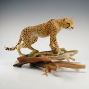 Boehm Bone Porcelain Sculpture, Cheetah 500-16