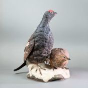 Boehm Porcelain Sculpture, Black Grouse