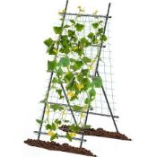 GARDEN TRELLIS FOR CLIMBING PLANTS