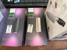 PHILIPS HUE WHITE & COLOUR AMBIANCE OUTDOOR WALL LIGHT - STAINLESS STEEL