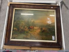 LARGE FRAMED CATTLE WATERING BY A STREAM PICTURE