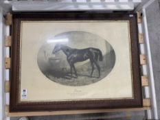 LARGE FRAMED FIRENZE HORSE IN STABLE PICTURE