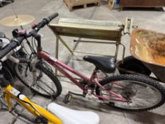 PINK APOLLO VIVID MOUNTAIN BIKE