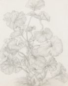 Kreidt, Hermann (1906-?)