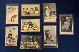 Postcards, Dogs, approx 200 dog related cards to include anthropomorphic, Maud West Watson,