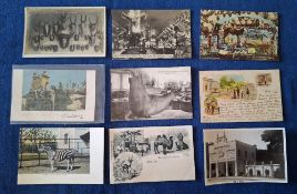 Postcards, Natural History, 185 cards, Animal Welfare (35) issued by various organisations including