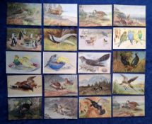Postcards, Birds, 47 cards all Artist signed including M Muller (Munchen) set of 6 Game Birds, other