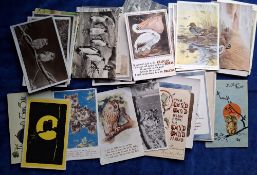 Postcards, Birds, approx. 110 cards, Coloured & Black & White, Photographic & Printed. Some