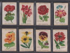 Tobacco silks, ATC, Flowers, Set 2, 'M' size (set, 25 silks) (some slight foxing, gen. gd)
