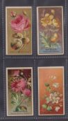 Cigarette cards, USA, Goodwin & Co, Flowers, four cards, American Beauty Rose, Butter Cups,