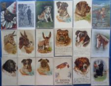 Postcards, Animals, a collection of 29 cards showing dogs, cats, donkeys, turkeys and various