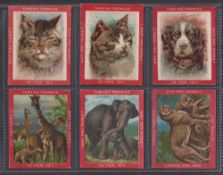 Cigarette cards, USA, ATC, Jigsaw Puzzles, 'L' size, Domestic Pets, Wild Animals & Flowers, 21 cards
