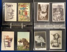 Postcards, Subjects, 2 small modern albums, containing a total of 170 cards to include signed actors