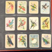 Trade cards, Australia, Tuckfield Teas, Birds Series, complete set of 384 cards from four series