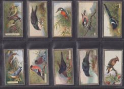 Cigarette cards, Scottish CWS Feathered Favourites non adhesive grey borders (set 50 cards) (gd/vg)